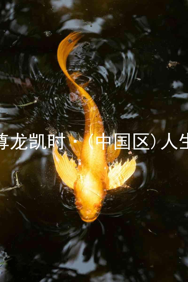 尊龙凯时·(中国区)人生